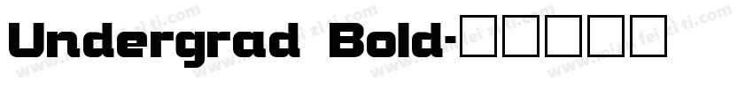 Undergrad Bold字体转换
